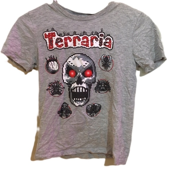 Terraria Other - Gray Kids Short Sleeve Tee